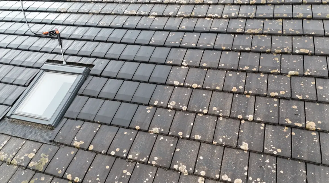 nettoyage toiture à mulhouse avec démoussage pour éliminer mousses et lichens responsables de l’humidité