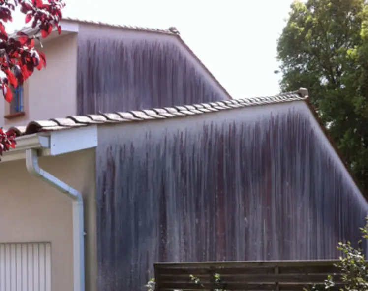 nettoyage façade à mulhouse avec traitement antimousse pour éliminer mousses et micro-organismes