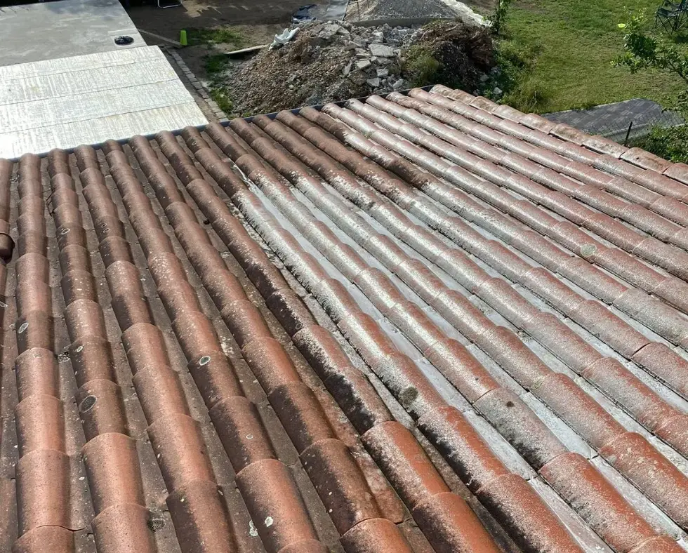 nettoyage toiture à mulhouse avec traitement antimousse pour prévenir la réapparition des mousses